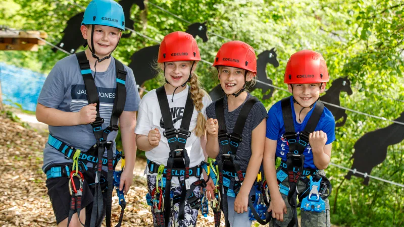 Group of children in climbing gear in a forest