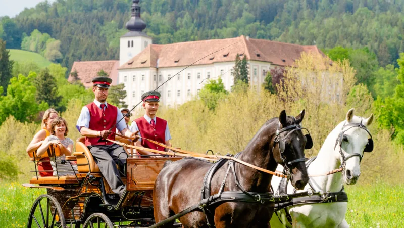 Carriage with horses, coachman and family in carriage