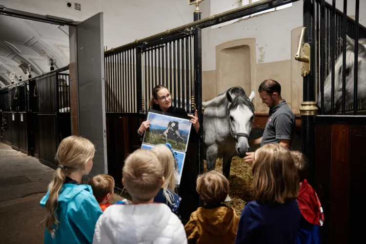 eine Gruppe von Kindern ist von hinten zu sehen. Sie stehen in einer Stallgasse vor einer geöffneten Boxentür, in der ein graues Pferd mit einem Pferdepfleger zu sehen ist. Vor den Kindern steht zudem eine junge Frau, die anhand von Bildern etwas erklärt.