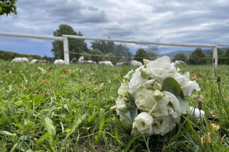 Brautstrauß in der Wiese am Lipizzanergestüt Piber