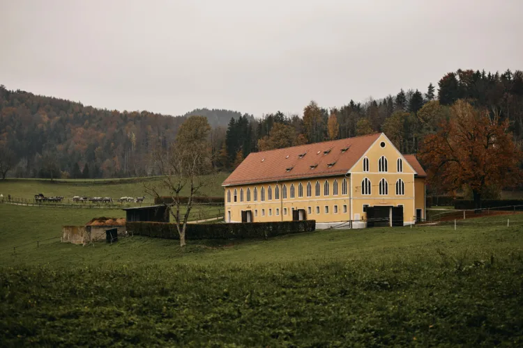 ein gelbes Gebäude, umgeben von Wiese und Bäumen, im Hintergrund eine Pferdeherdea yellow building surrounded by meadow and trees, a herd of horses in the background