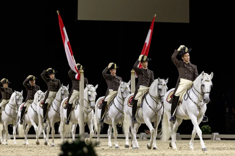 Reiter:innen und Pferde reiten im Scheinwerferlicht durch Pilaren in einer abgedunkelten Veranstaltungshalle. Die Pilaren sind mit Österreichflaggen geschmückt.