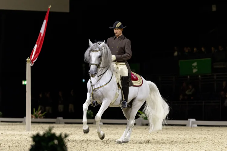 Ein Reiter in brauner Uniform reitet auf einem weißen Pferd auf hellem Reitboden. Der Hintergrund ist abgedunkelt, in der Reitbahn sieht man eine Pilare mit österreichischer Flagge.