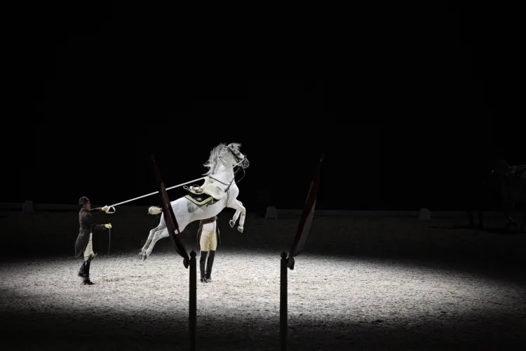 ein weißes Pferd springt in die Luft, zwei Reiter stehen daneben