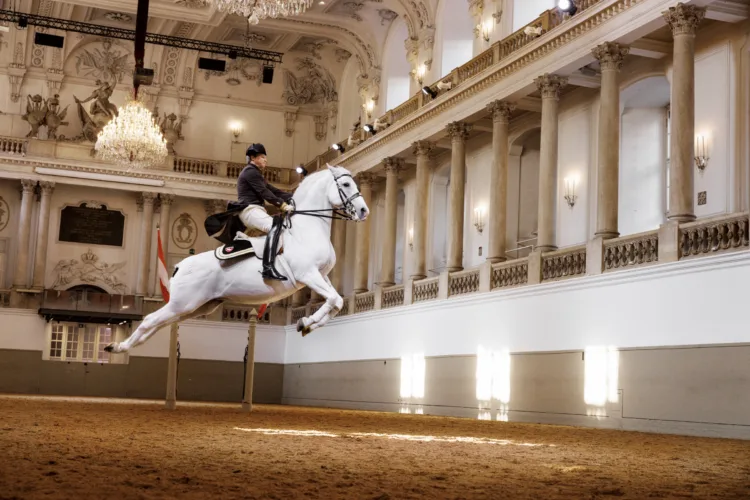 Reiter auf springendem Pferd in barocker Halle