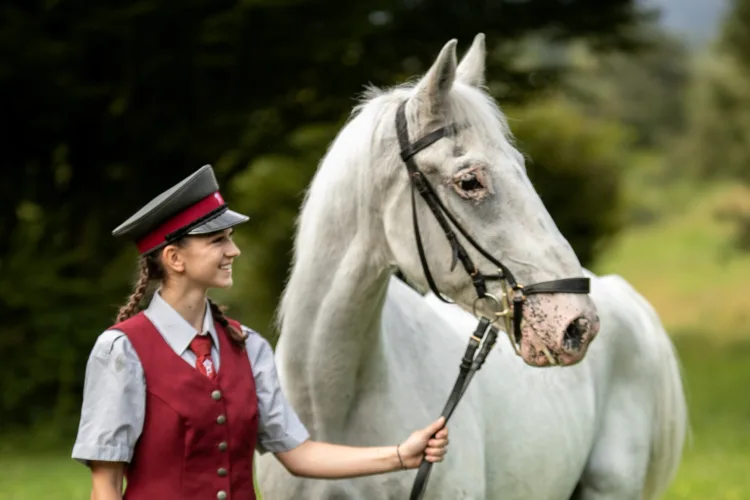 Mensch hält ein Pferd am Zaumzeug in Natur