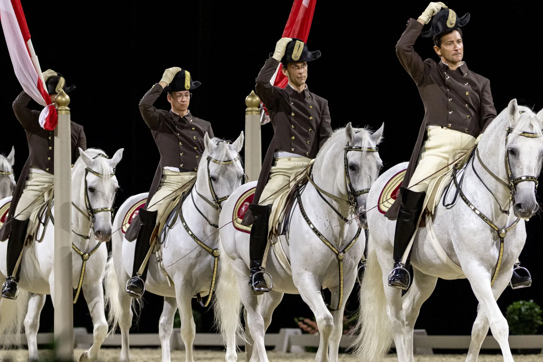 eine Reihe von weißen Pferden, auf denen Reiter in Uniform reiten