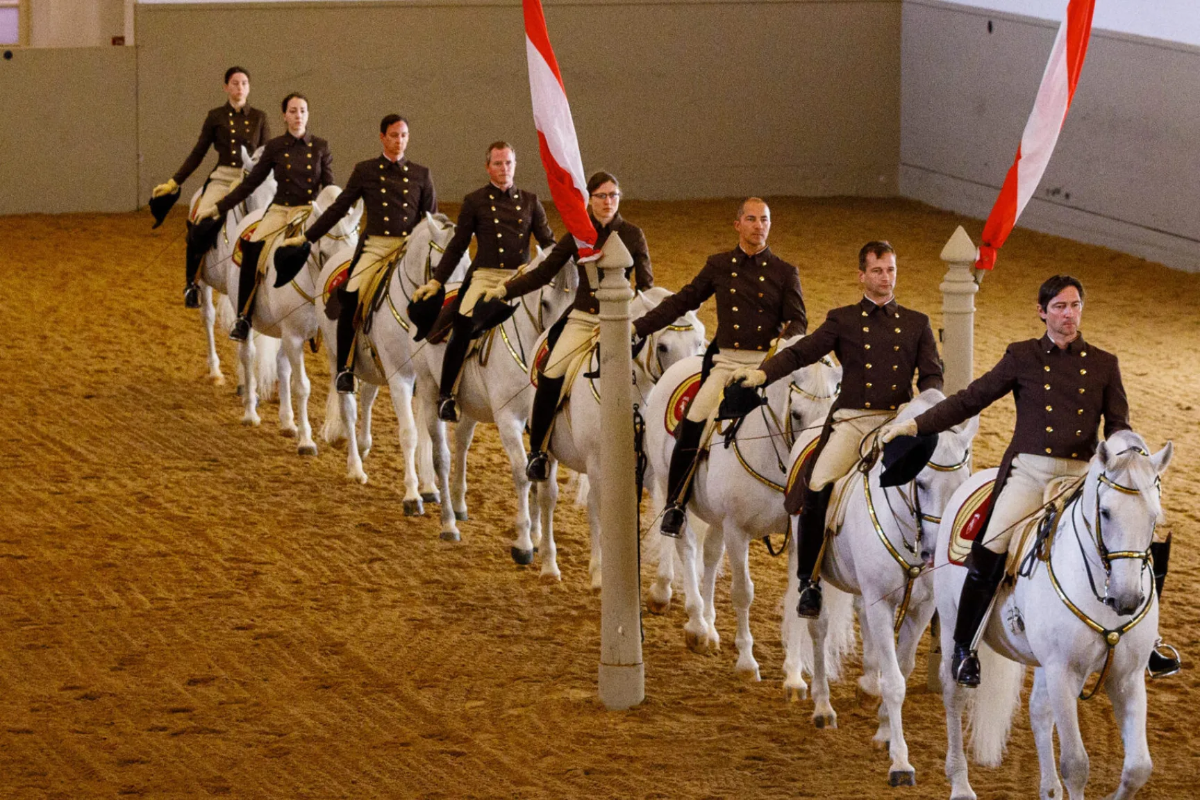 eine Reihe von Reitern auf weißen Pferden